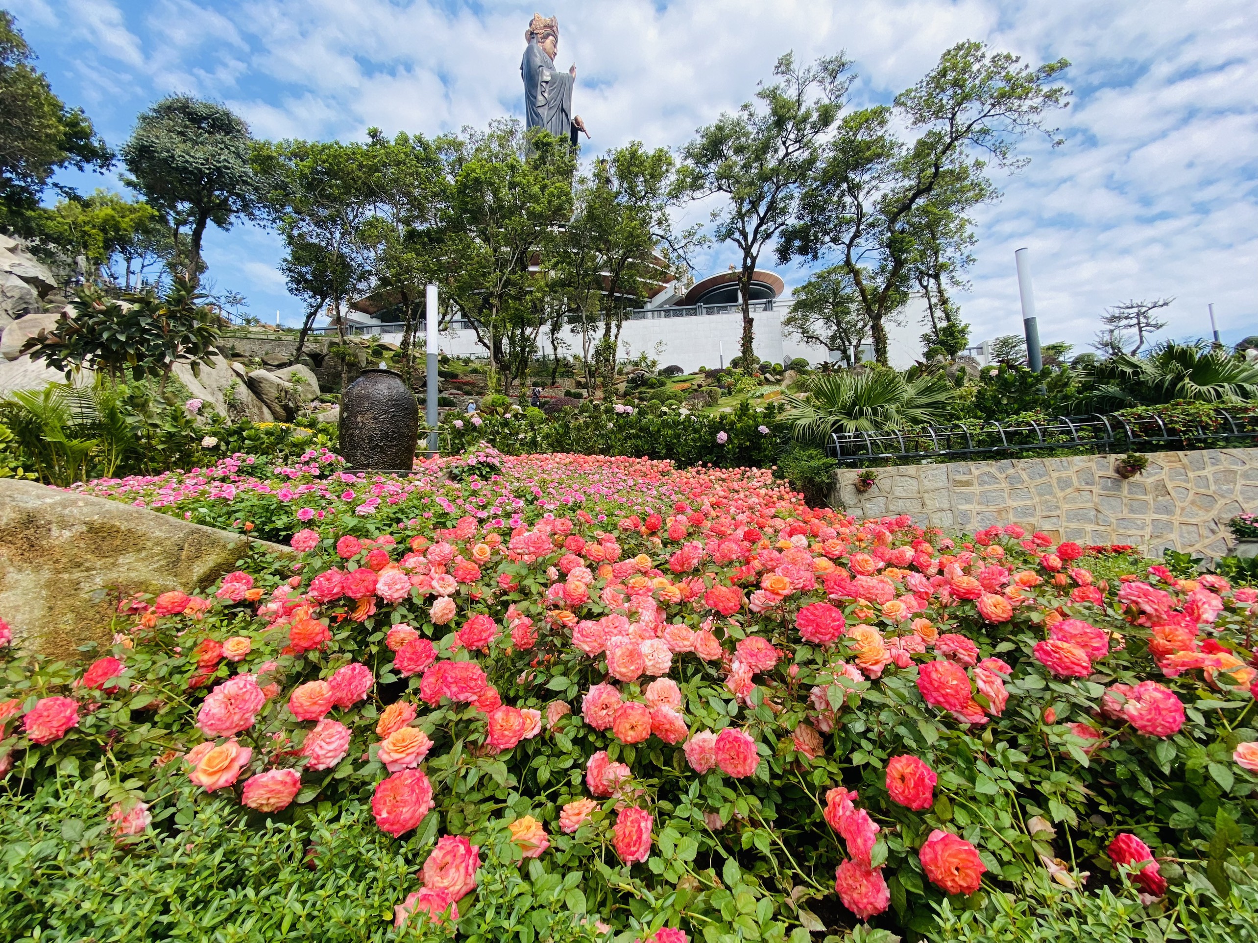 Khu du lịch Sun World Ba Den Mountain trở thành xứ sở hoa hồng với 10.000 chậu hoa hồng thuộc hàng trăm chủng loại khác nhau. (Ảnh: Sungroup cung cấp)